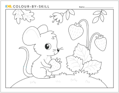 IXL Colour by Skill Mouse